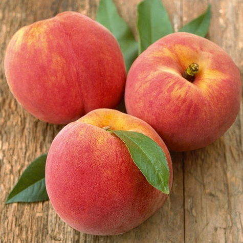 Brzoskwinia Suncrest START PACK