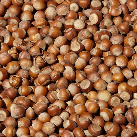 Sarapuu Webba Cenny – paljasjuursed istikud