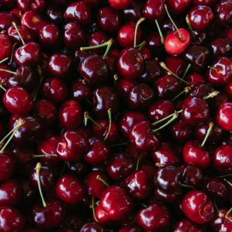 Hapukirsipuu Groniasta – paljasjuursed istikud