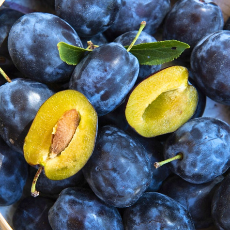 Śliwa Węgierka Włoska Kwecza START PACK