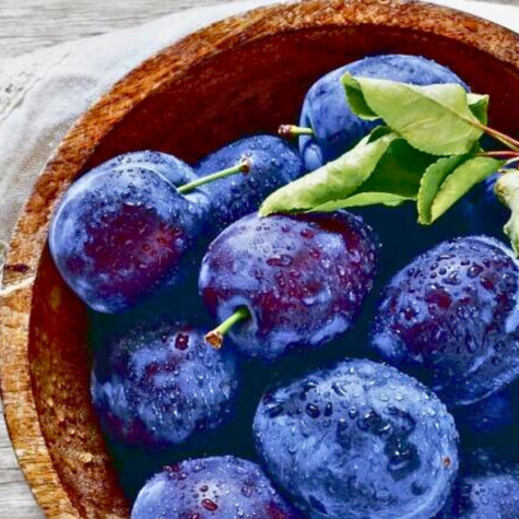 Ploomipuu sambakujuline vorm Imperial – paljasjuursed istikud