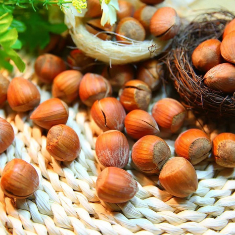 Sarapuu Garibaldi – paljasjuursed istikud