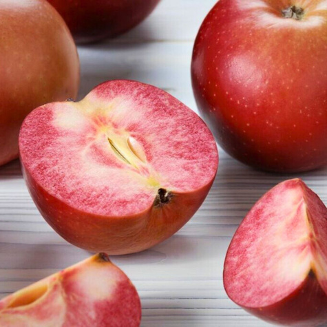 Õunapuu Red Loove – paljasjuursed istikud