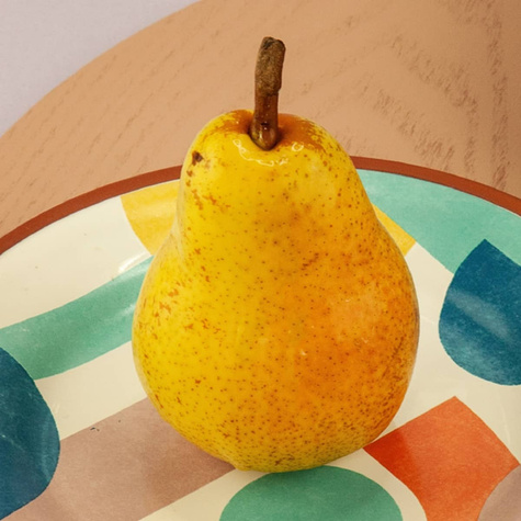 Pirnipuu Klapsa Faworytka – paljasjuursed istikud