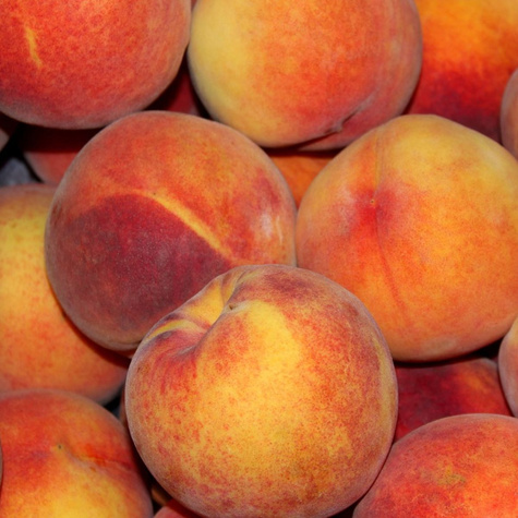 Brzoskwinia Royalvee START PACK ® 