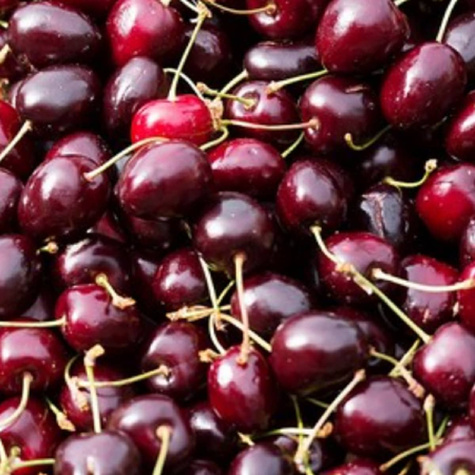 Czereśnia Kordia Bardzo Duże Owoce (GISELA5) START PACk