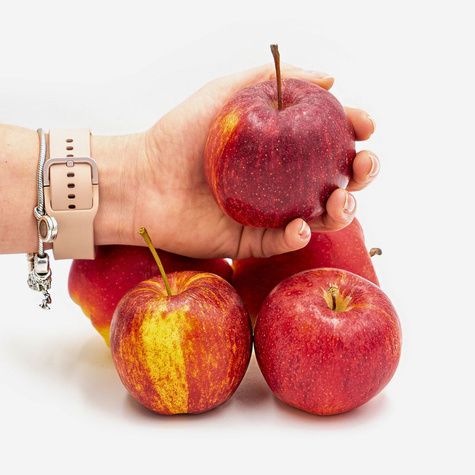 Õunapuu Gala – paljasjuursed istikud