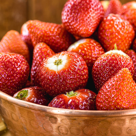 "Albion" roniv, korduvviljuv maasikas - Maasikataimed 10 tk