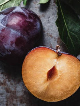 Ploomipuu Jaapani Czarna (mustaviljeline) – paljasjuursed istikud