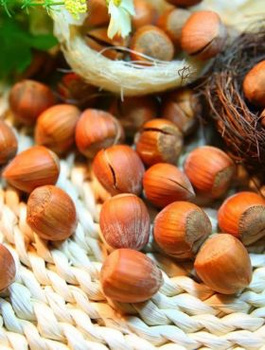 Sarapuu Garibaldi – paljasjuursed istikud