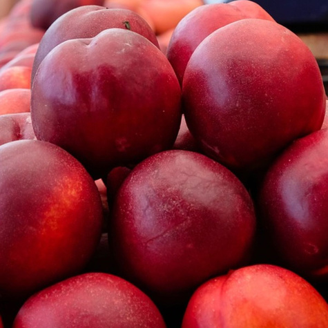 Nektaryna Harco START PACK ®