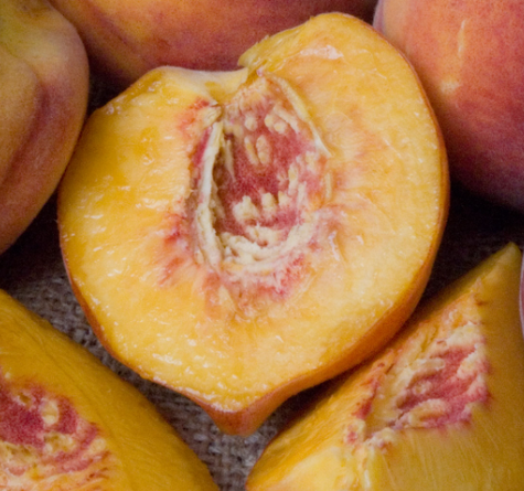 Virsikupuu Honey Gold kääbusvorm – paljasjuursed istikud