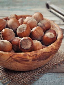 Pirnipuu Barcelonski – paljasjuursed istikud