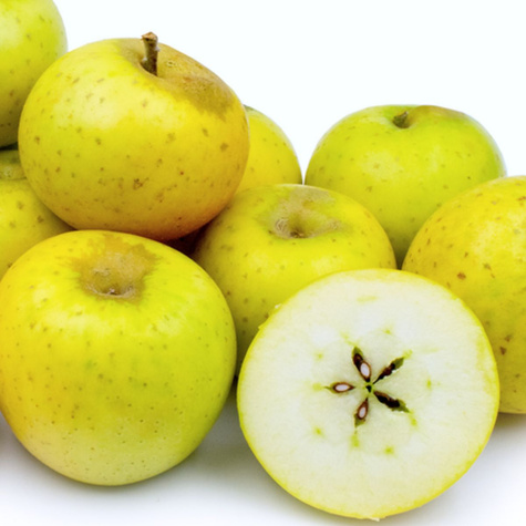 Õunapuu Reneta Landsberska – paljasjuursed istikud