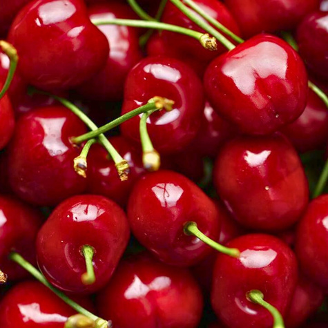 Czereśnia karłowa typu Summit START PACK ® (GISELA5)