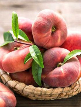 Virsikupuu Saturn (lamedaviljeline) – paljasjuursed istikud