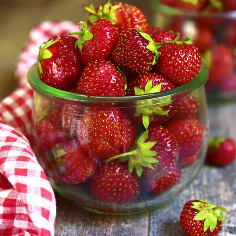 "Honeoye" väga varajane - Maasikataimed 10 tk